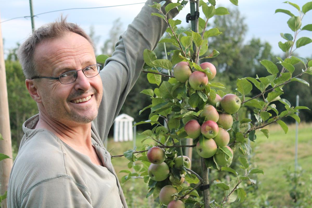 hakon wium lie growing apples